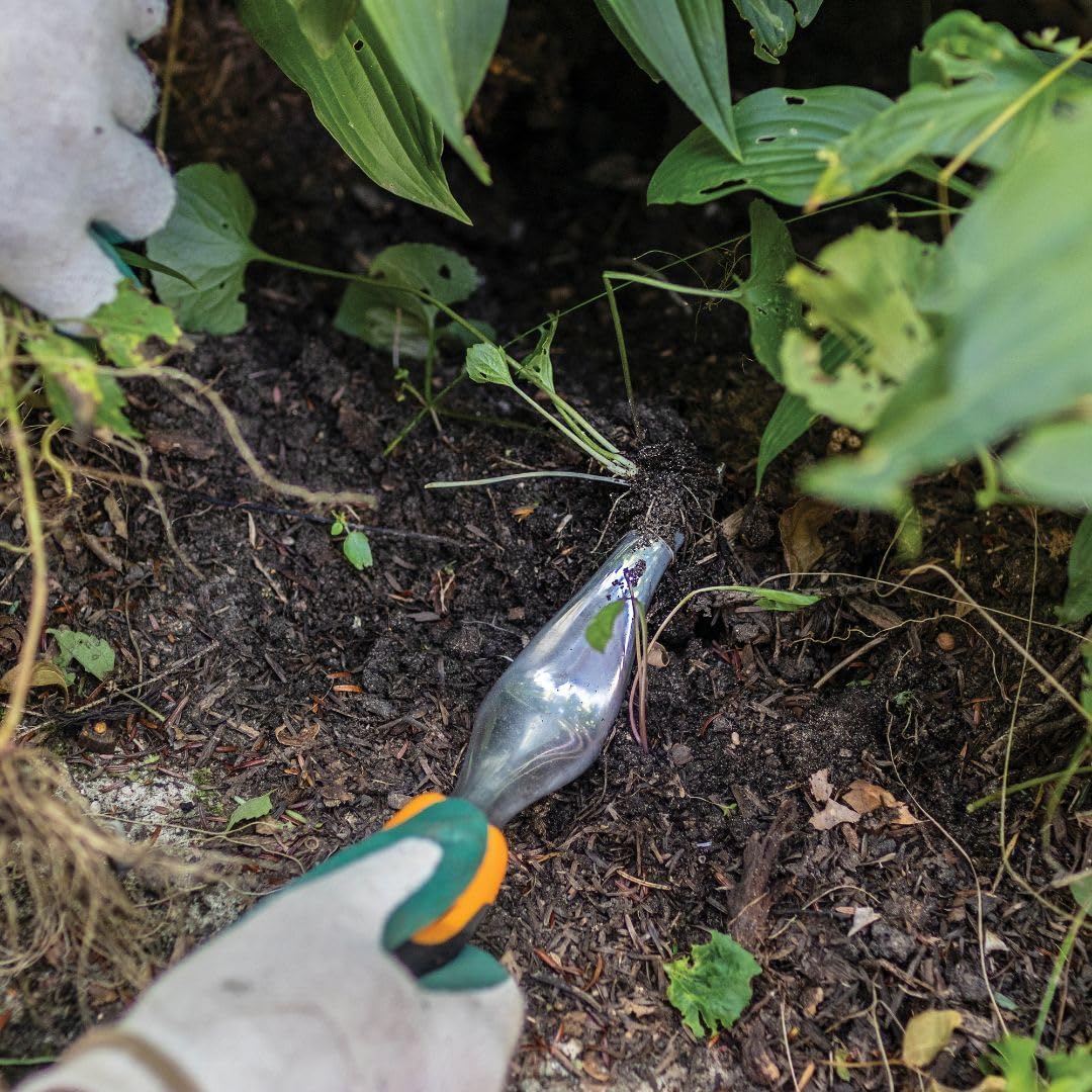 Hand Weeder Tool